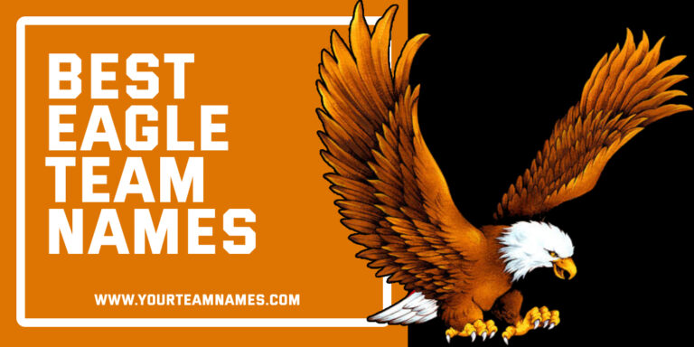 314+ Eagle Team Names: Sports, Gaming & Corporate Groups