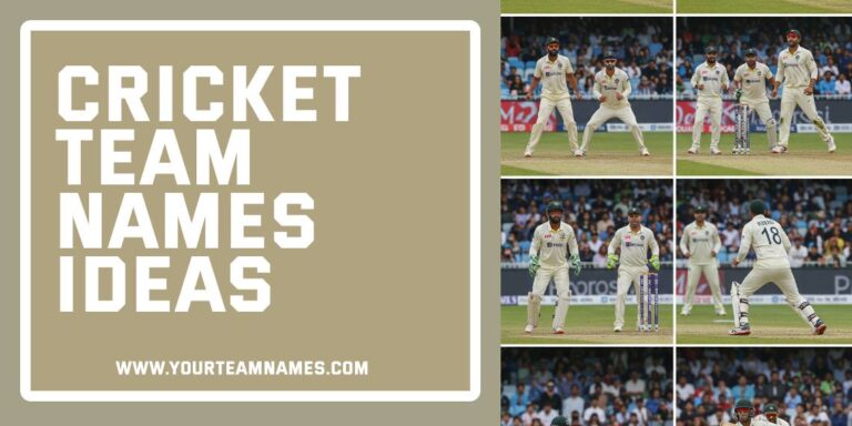 714+ Cricket Team Names Gully, Funny Ideas For Boys & Girls