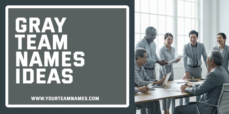 454+ Gray Team Names: Funny & Cute For Gamers & Sports