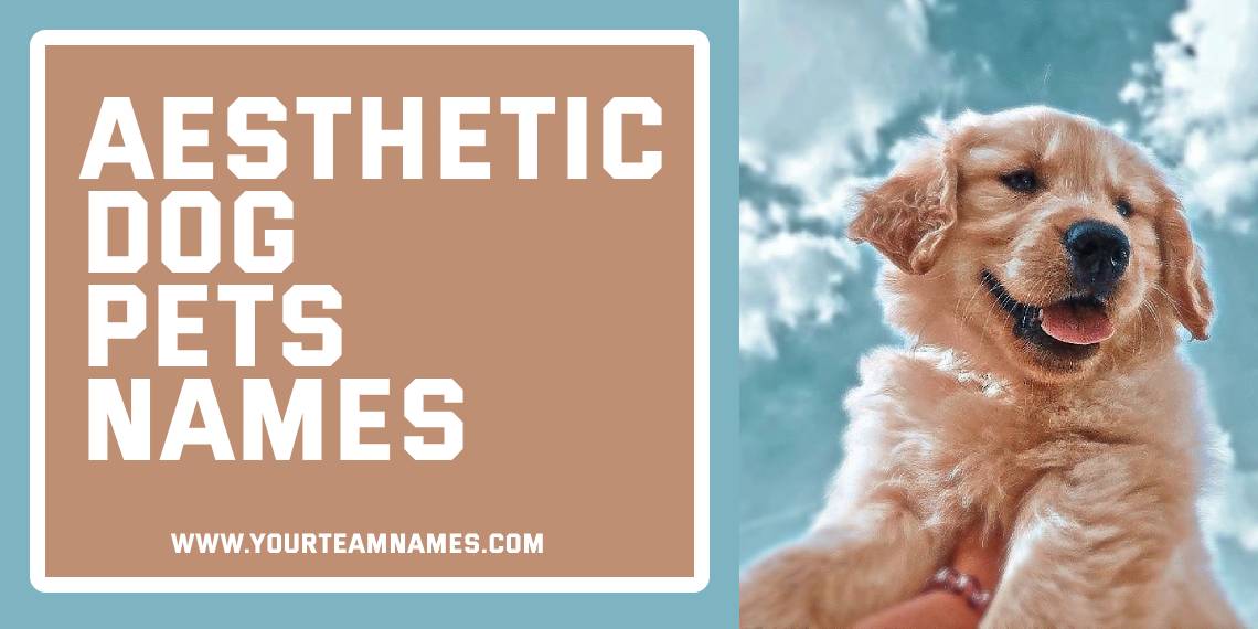 Aesthetic Dog Pets Names