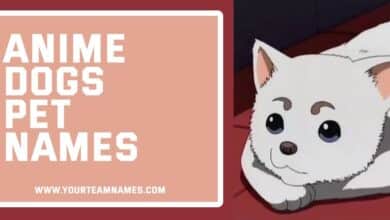 Anime Dogs Pet Names