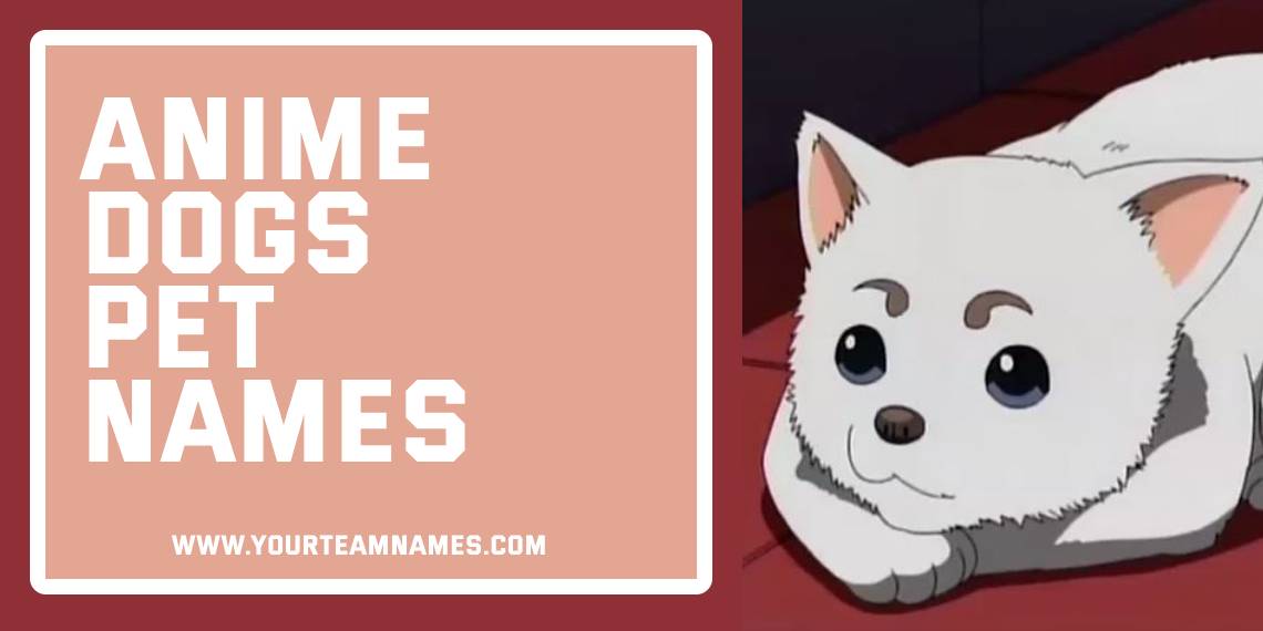Anime Dogs Pet Names