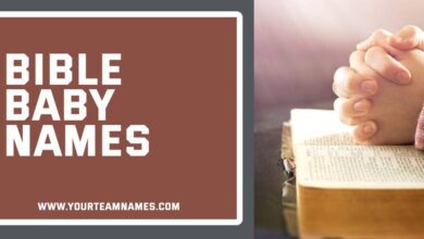 Bible Baby Names