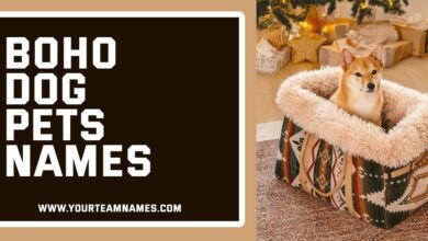 Boho Dog Pets names