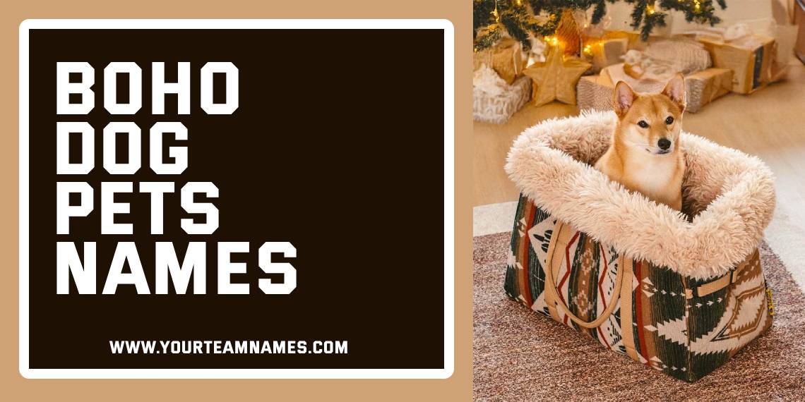 Boho Dog Pets names