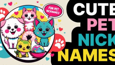 Cute Pet Nicknames