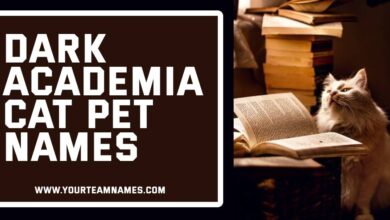 Dark Academia Cat Pet Names