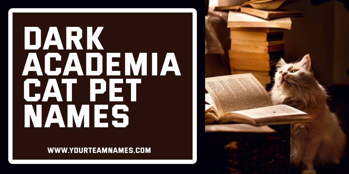 Dark Academia Cat Pet Names