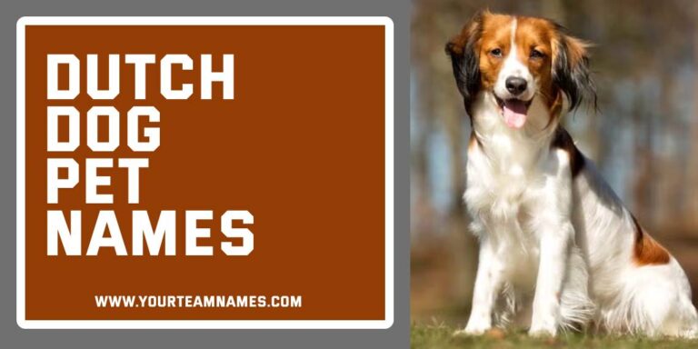 330+ Dutch Dog Pet Names with Nature, Old-School, Royal & Historical Inspired Names