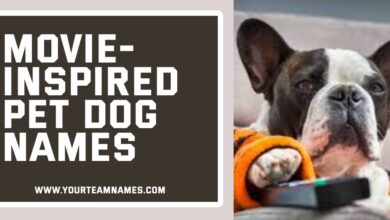 Movie-Inspired Pet Dog Names
