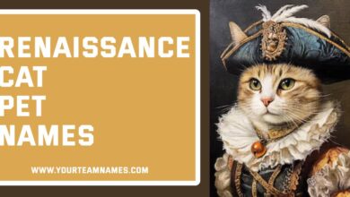 Renaissance Cat Pet Names