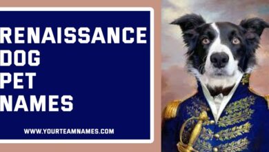 Renaissance Dog Pet Names