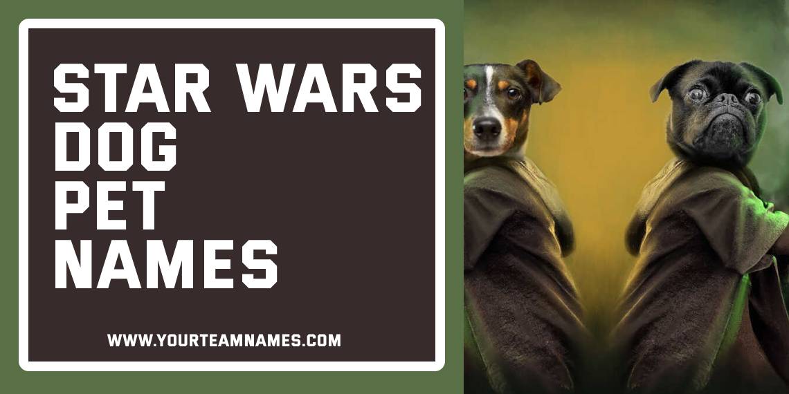 Star Wars Dog Pet Names