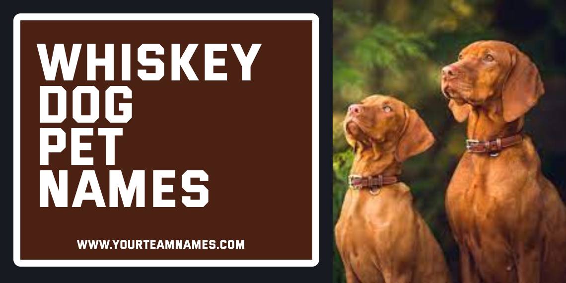 Whiskey Dog Pet Names