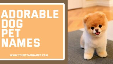 Adorable Dog Pet Names