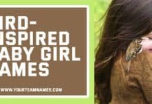 Bird-Inspired Baby Girl Names