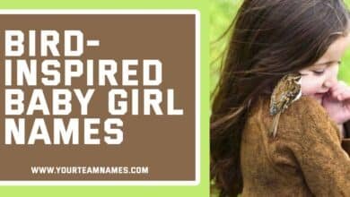 Bird-Inspired Baby Girl Names