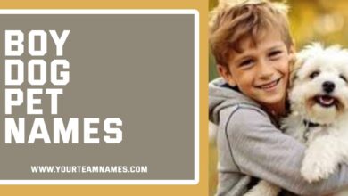 Boy Dog Pet Names