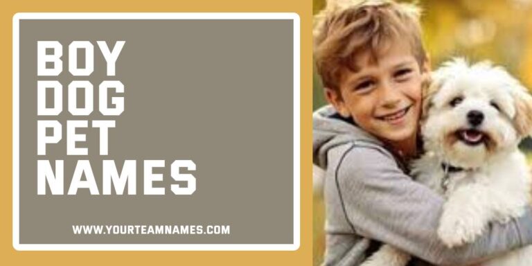 520+ Boy Dog Pet Names (Unique & Creative Finds)