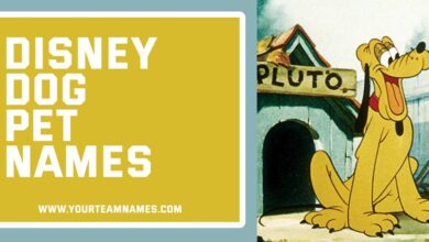Disney Dog Pet Names