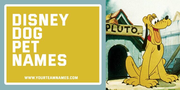 550+ Disney Dog Pet Names (Magical, Playful & Tail-Wagging Picks)