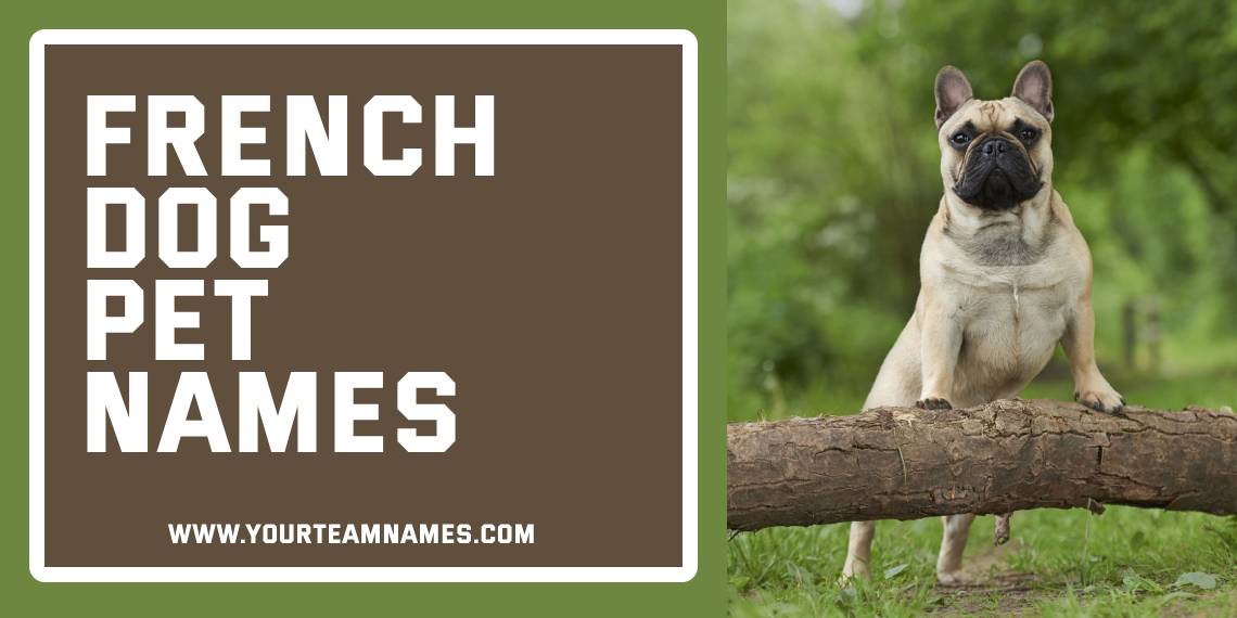 French Dog Names