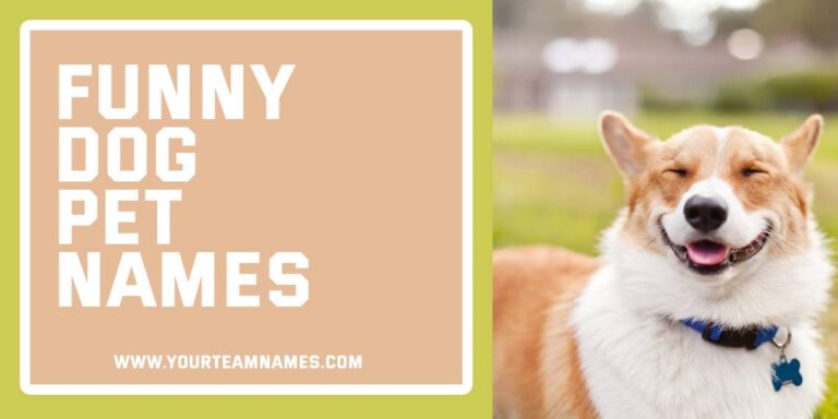 440+ Funny Dog Pet Names That’ll Make You Groan