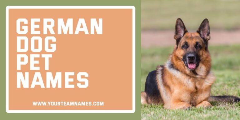 260+ German Dog Pet Names (Quick Picks for Every Letter)