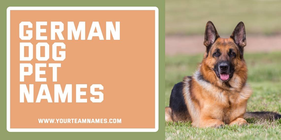 German Dog Pet Names