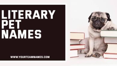 Literary Pet Names