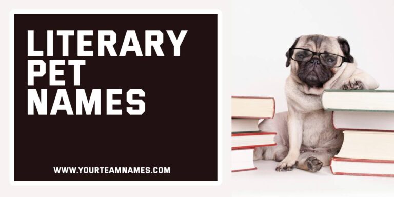Literary Pet Names: 280+ Bookish, Clever & Charm-Filled Picks for Your Furry Storyteller