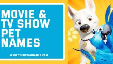 Movie & TV Show Pet Names