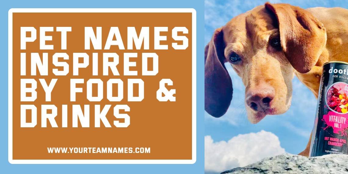 Pet Names Inspired by Food & Drinks