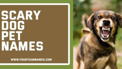 Scary Dog Pet Names