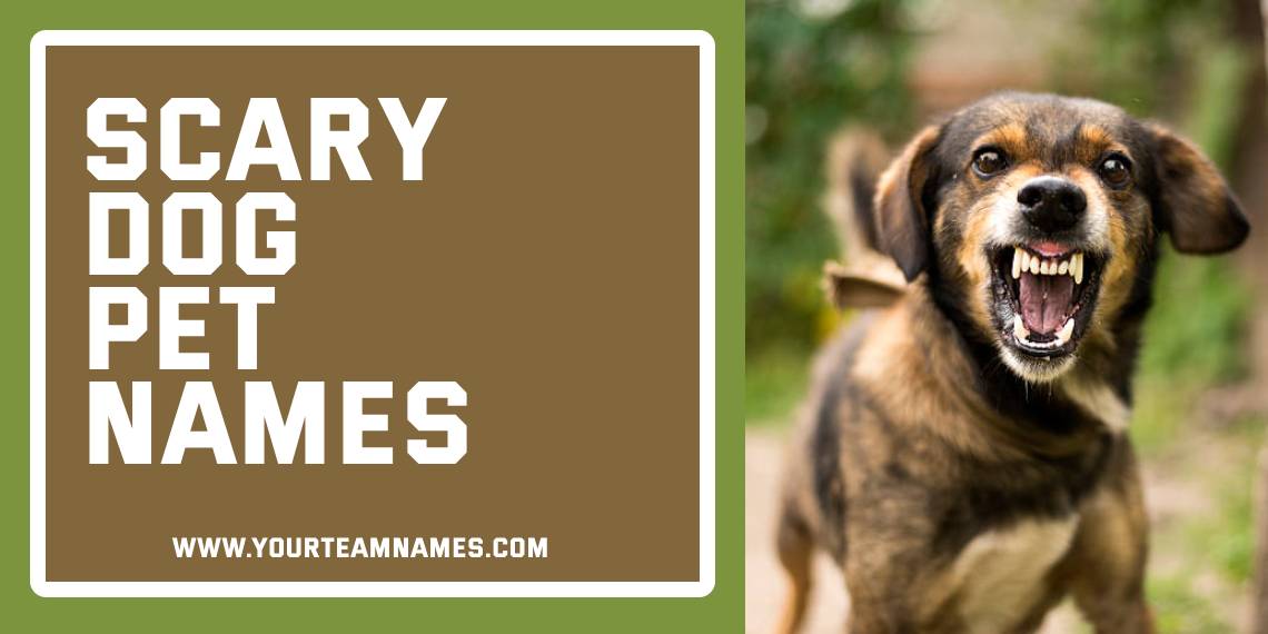 Scary Dog Pet Names