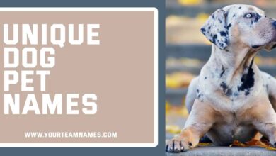 Unique Dog Pet Names