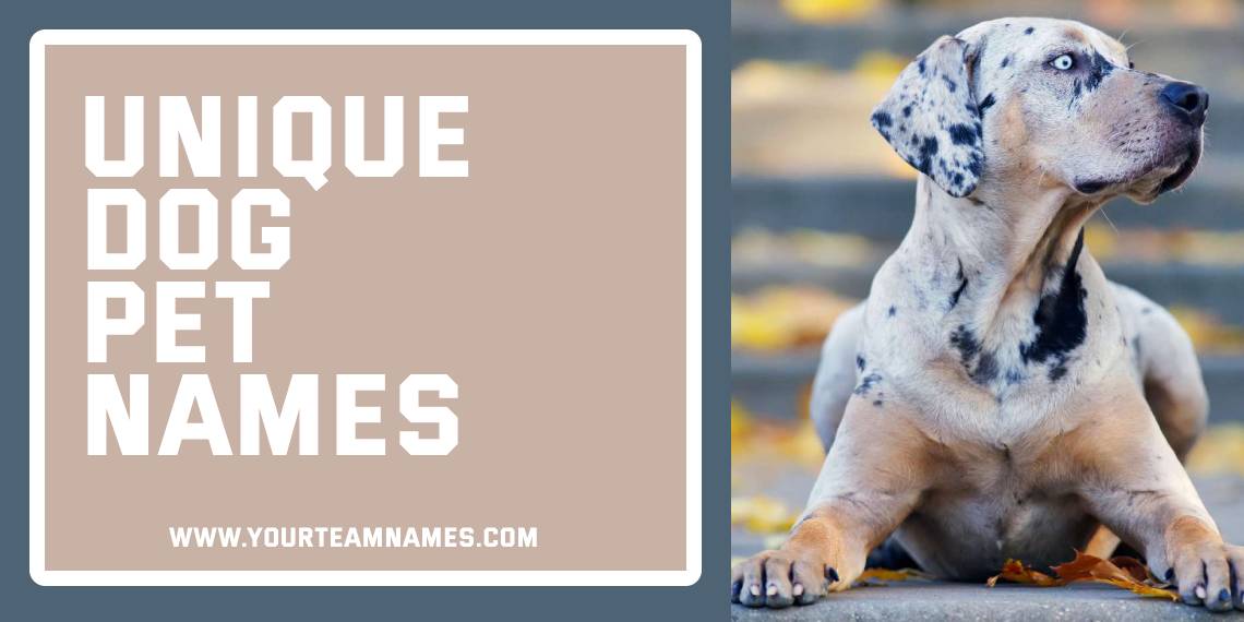 Unique Dog Pet Names