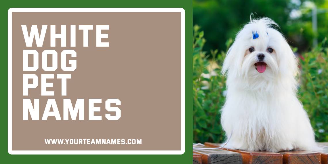 White Dog Pet Names