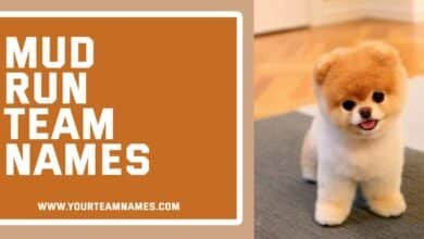 Adorable Pet Names