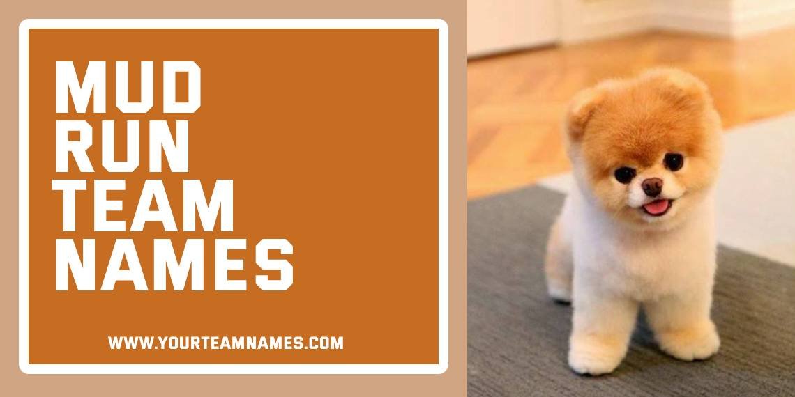 Adorable Pet Names