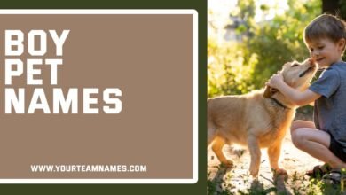 Boy Pet Names