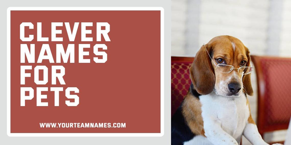 Clever Names for Pets