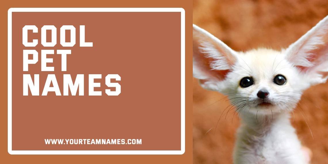 Cool Pet Names