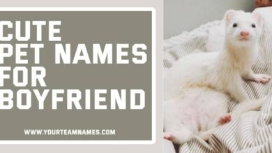 Cute Pet Names for Boyfriend