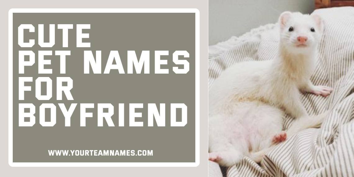 Cute Pet Names for Boyfriend