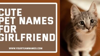 Cute Pet Names for Girlfriend