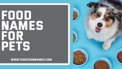Food Names for Pets