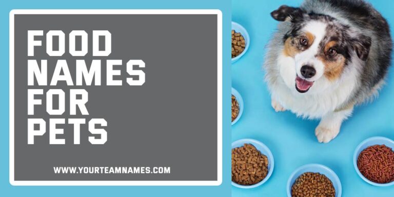 Food Names for Pets: 380+ Tasty, Adorable Ideas for Your Furry Friend