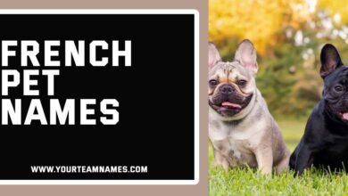 French Pet Names