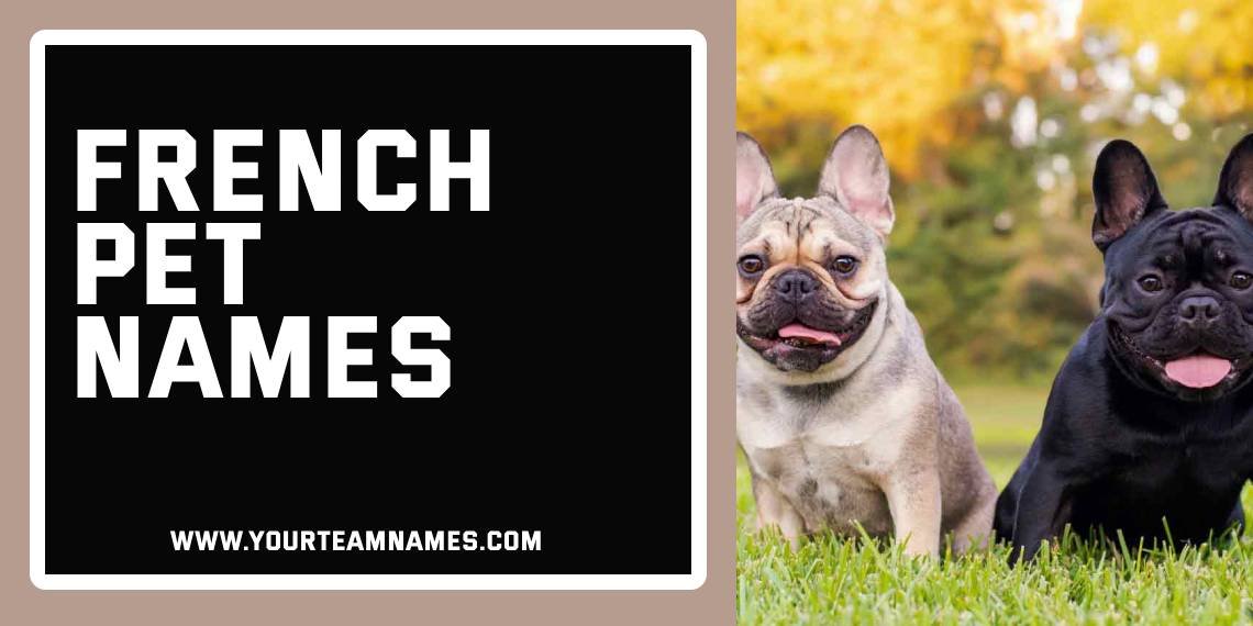 French Pet Names